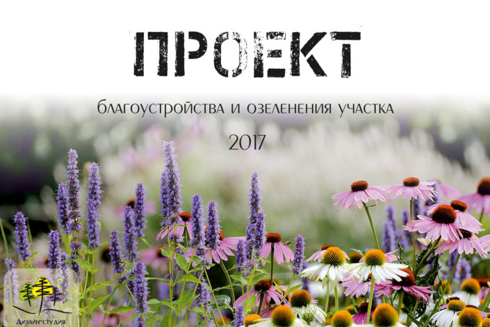 проект Старица участок на берегу реки