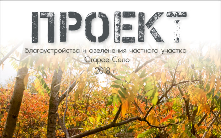 проект малого сада дизайн сада 15 соток